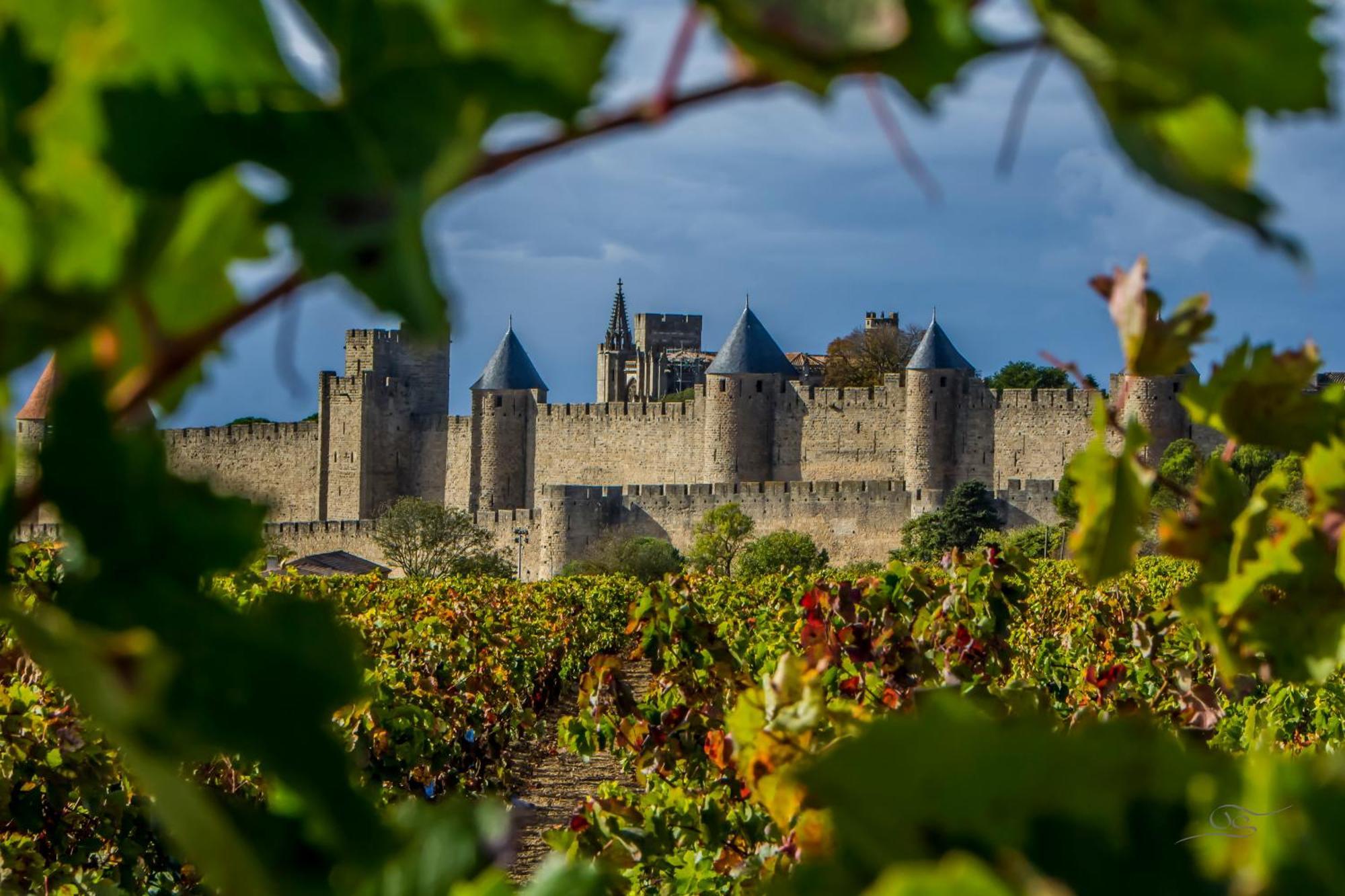 Maison Cantalauze - Pays Cathare - Carcassonne - Canal Du Midi Trèbes 外观 照片